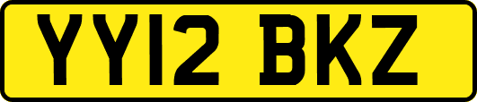 YY12BKZ