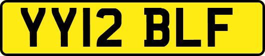 YY12BLF