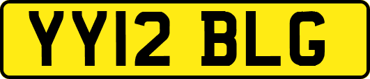 YY12BLG