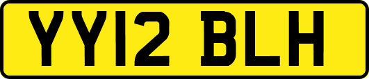 YY12BLH