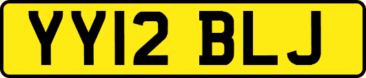 YY12BLJ