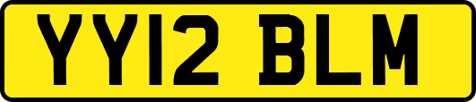 YY12BLM
