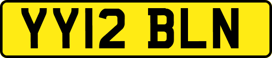 YY12BLN