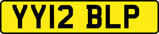 YY12BLP