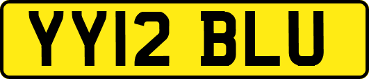 YY12BLU