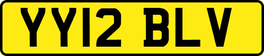 YY12BLV