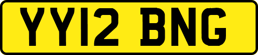 YY12BNG
