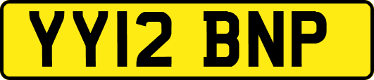 YY12BNP