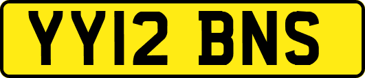 YY12BNS
