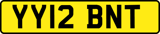 YY12BNT