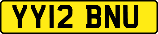 YY12BNU
