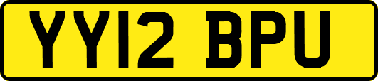 YY12BPU