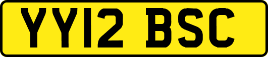 YY12BSC