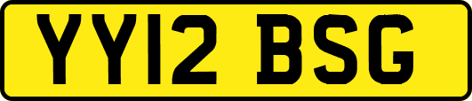 YY12BSG