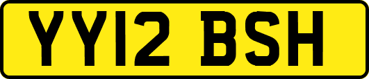 YY12BSH