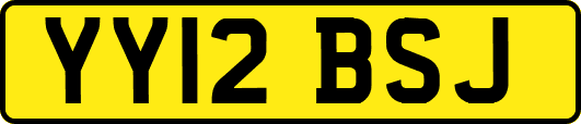 YY12BSJ