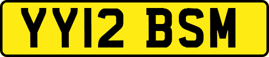 YY12BSM
