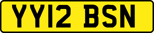YY12BSN