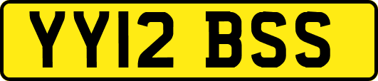 YY12BSS