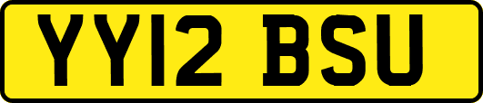 YY12BSU
