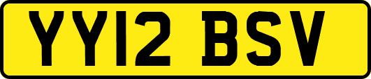 YY12BSV