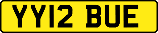 YY12BUE
