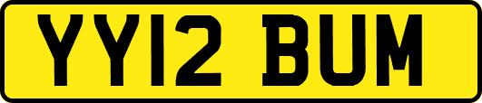 YY12BUM