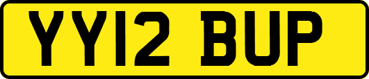 YY12BUP