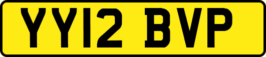 YY12BVP
