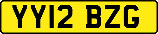 YY12BZG