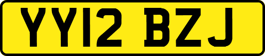 YY12BZJ