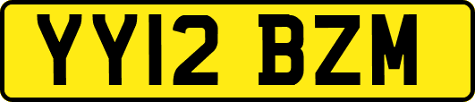 YY12BZM