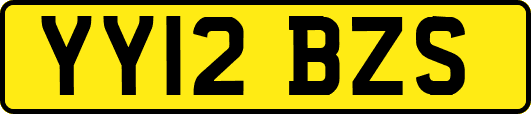 YY12BZS