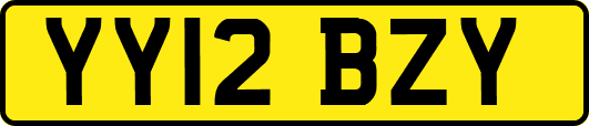 YY12BZY