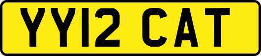 YY12CAT