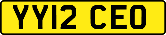 YY12CEO