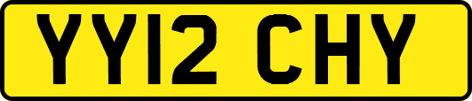 YY12CHY