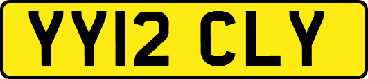 YY12CLY