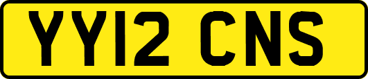 YY12CNS