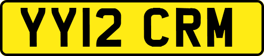 YY12CRM