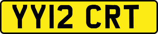 YY12CRT