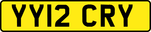 YY12CRY