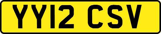 YY12CSV