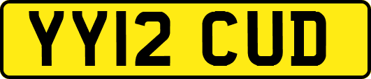 YY12CUD