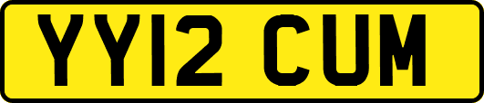 YY12CUM