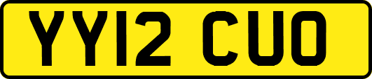YY12CUO