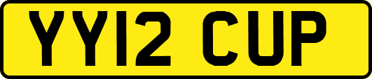 YY12CUP