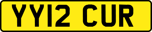 YY12CUR