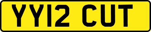 YY12CUT