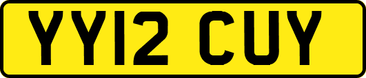 YY12CUY